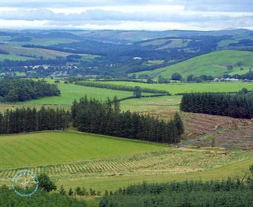 Scottish Borders 9A28D-12.JPG